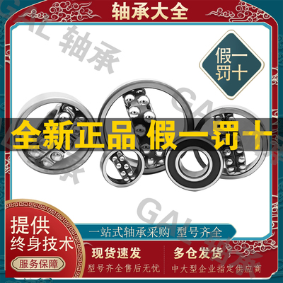 NSK滚珠2304进口2305调心2306球2307 2308轴承2309密封2310 2RS