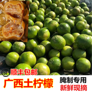 2026年新鲜野生土柠檬广西青柠檬鲜果9斤包邮现摘薄皮多汁牛脚子