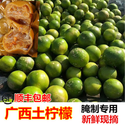 2026年新鲜野生土柠檬广西青柠檬鲜果9斤包邮现摘薄皮多汁牛脚子