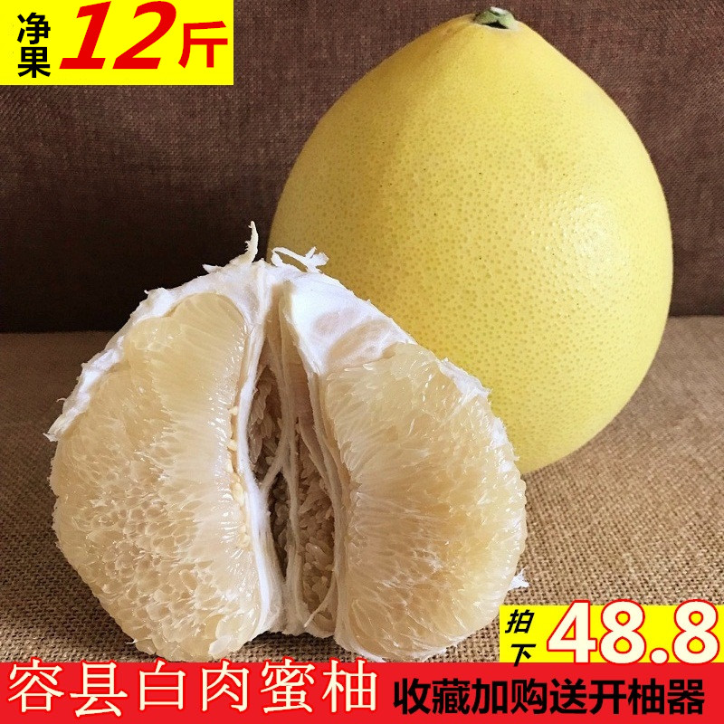 容县蜜柚自有果园现摘现发