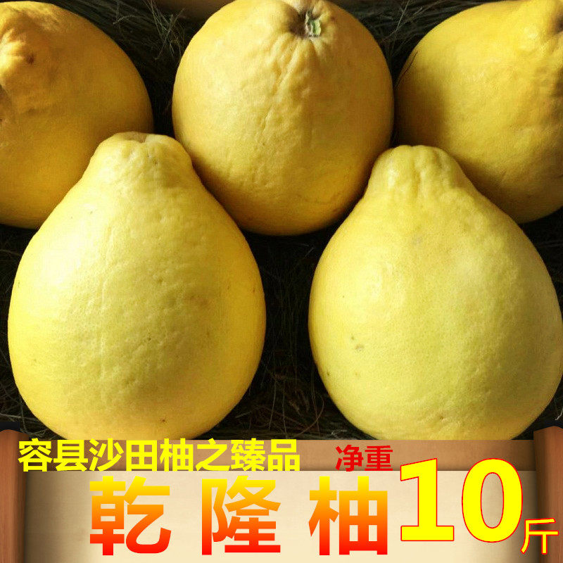 容县沙田柚树上枝头清香蜜甜