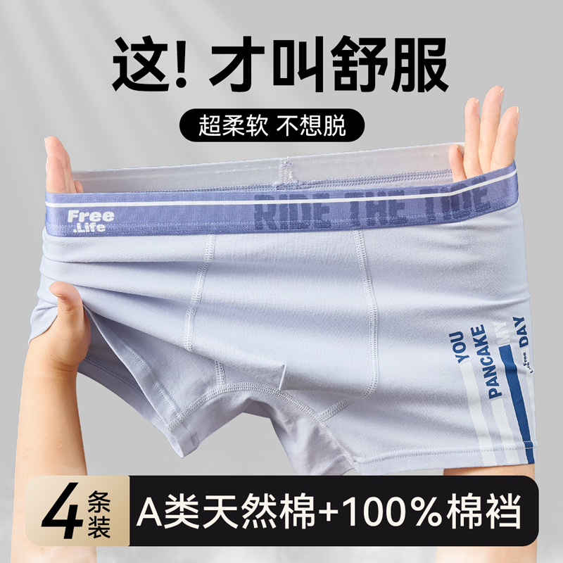 男童四角内裤纯棉a类青少年大童