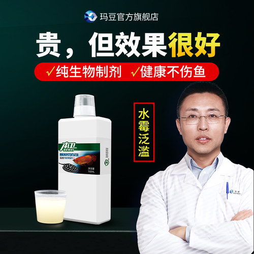 玛豆本卫水霉病观赏鱼