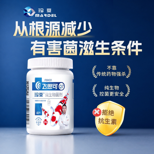 玛豆锦鲤飞思可净化水质