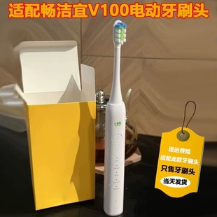 TRONCO成人软毛牙刷头CJY替换头 适配畅洁宜V100电动牙刷头JOSE