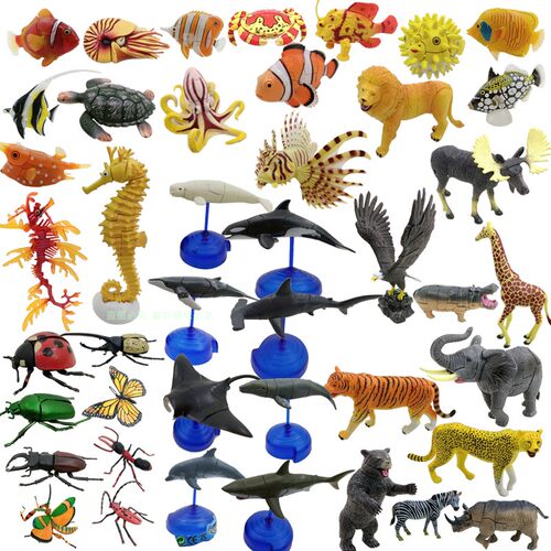 奇趣海洋动物价格 奇趣海洋动物图片 星期三