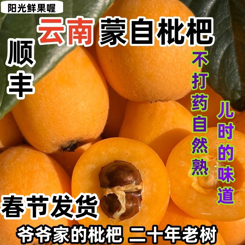 (顺丰速递)正宗云南蒙自枇杷现摘鲜果当季孕妇水果整箱儿时的味道