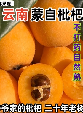 (顺丰速递)正宗云南蒙自枇杷现摘鲜果当季孕妇水果整箱儿时的味道