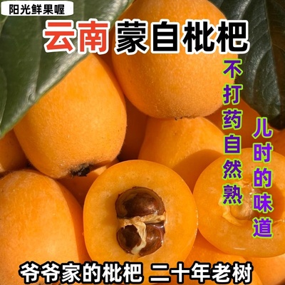 (顺丰速递)正宗云南蒙自枇杷现摘鲜果当季孕妇水果整箱儿时的味道