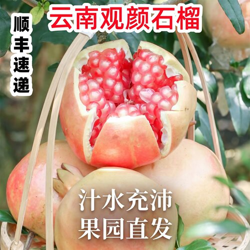 顺丰速递云南蒙自观颜石榴