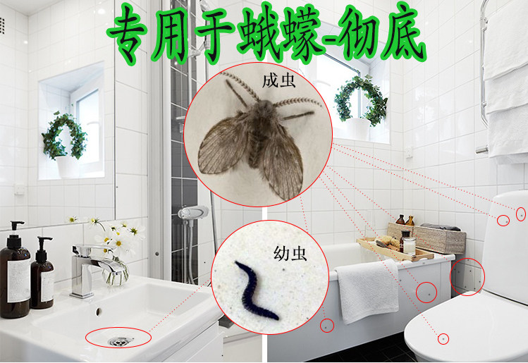 蛾蠓治理套装蛾蚋厕所卫生间下水道杀虫剂驱灭杀小飞虫神器家用药