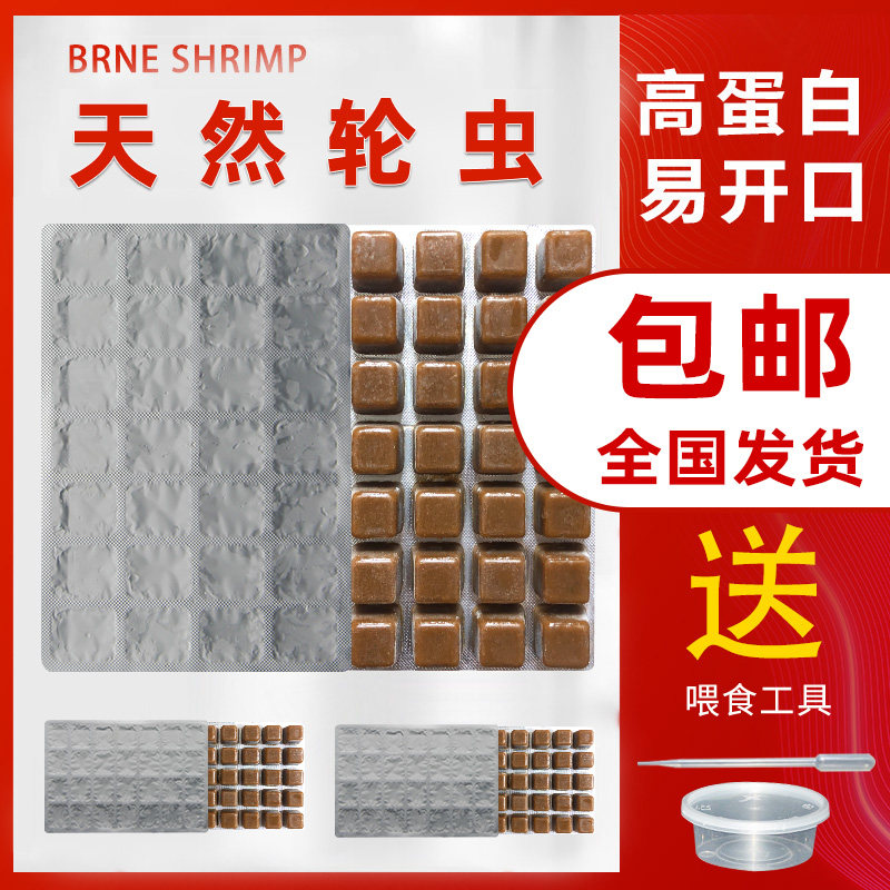 轮虫海水素材模板 轮虫海水图片下载 小麦优选