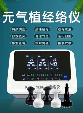 长青中国元气植值同款经络仪器品牌椎养生美容院专用