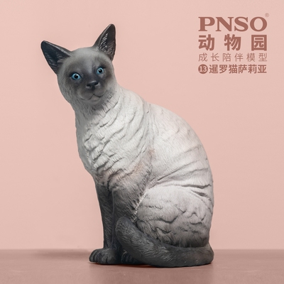 PNSO动物园成长陪伴模型