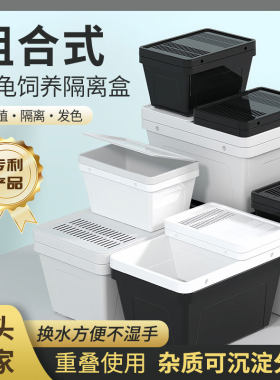 乌龟隔离盒饲养发色盒厂家直发