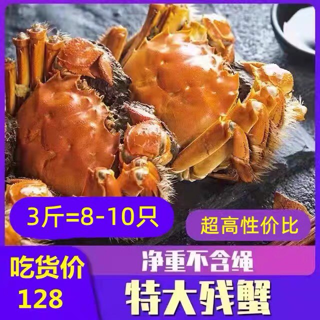 大闸蟹现货鲜活螃蟹全公母蟹缺腿大闸蟹