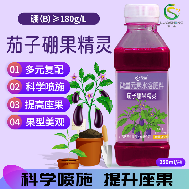 洛圣茄子硼果精灵点花授粉涂抹花梗提高座果科学喷施肥料果型美观