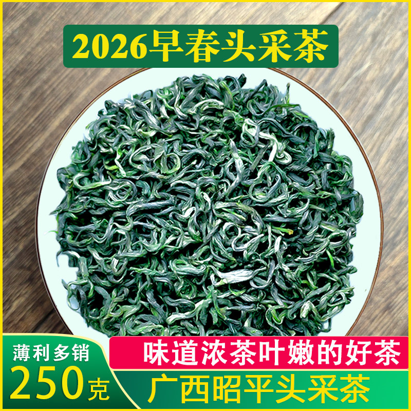 [一斤500克]2026广西昭平绿茶早春新茶板栗香浓茶头采碧螺春5号