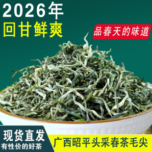 [赠送野茶]2026新茶头采春茶栗香广西昭平毛尖清香型明前绿茶茶叶