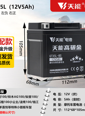 电池免维护摩托车电瓶12v5Ah豪爵125福喜巧格110通用干电池YTX5L