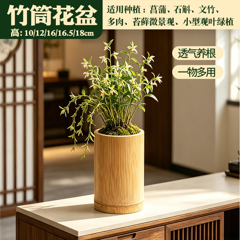 竹筒阳台花盆创意竹子花瓶插花花筒多肉植物沥水孔透气养竹盆定制