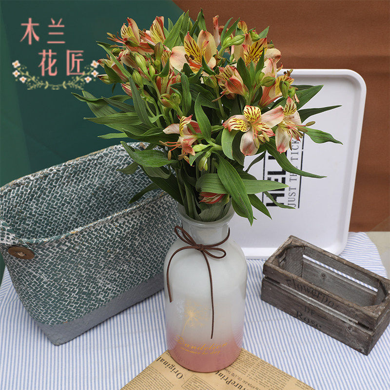直发水仙办公室昆明鲜花空运包邮
