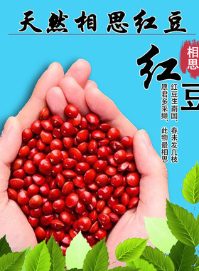 天然相思红豆整孔串珠DIY配件