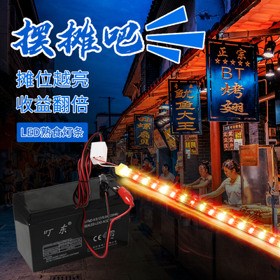 12V熟食灯管电瓶车摆摊专用48V低压水果店生鲜电动车卤菜展示现货