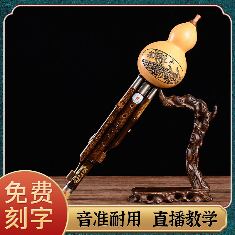 滇南古韵葫芦丝成人小学生儿童用初学者云南紫竹可自学乐器孔雀款