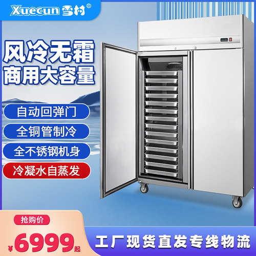 雪村冷冻柜立式商用冰箱包子饺子急冻冰柜风冷无霜插盘柜速冻现货