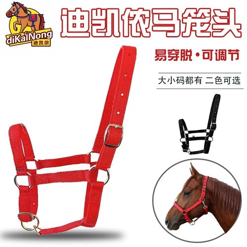 迪凯马具马笼头绳子马术用品大小矮马可调节马龙头结实配件全套