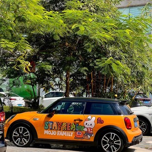 适用于宝马MINI · MOJO五月天SR纯真兔胡萝卜潮流汽车装饰拉花贴