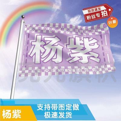 杨紫应援大旗明星帜演唱会