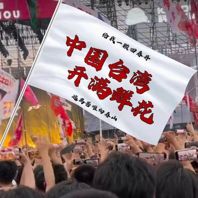 回春丹演唱会应援旗定制歌迷中国台湾音乐节大旗摇滚旗帜明星周边