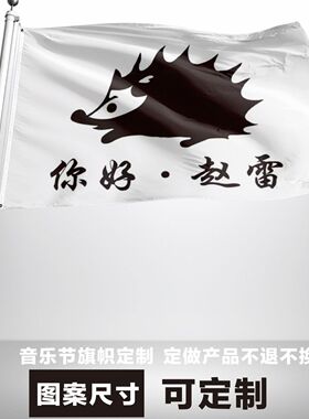 赵雷四号旗帜144X96CM音乐节巡演现场周边定制挂旗应援旗子摇滚