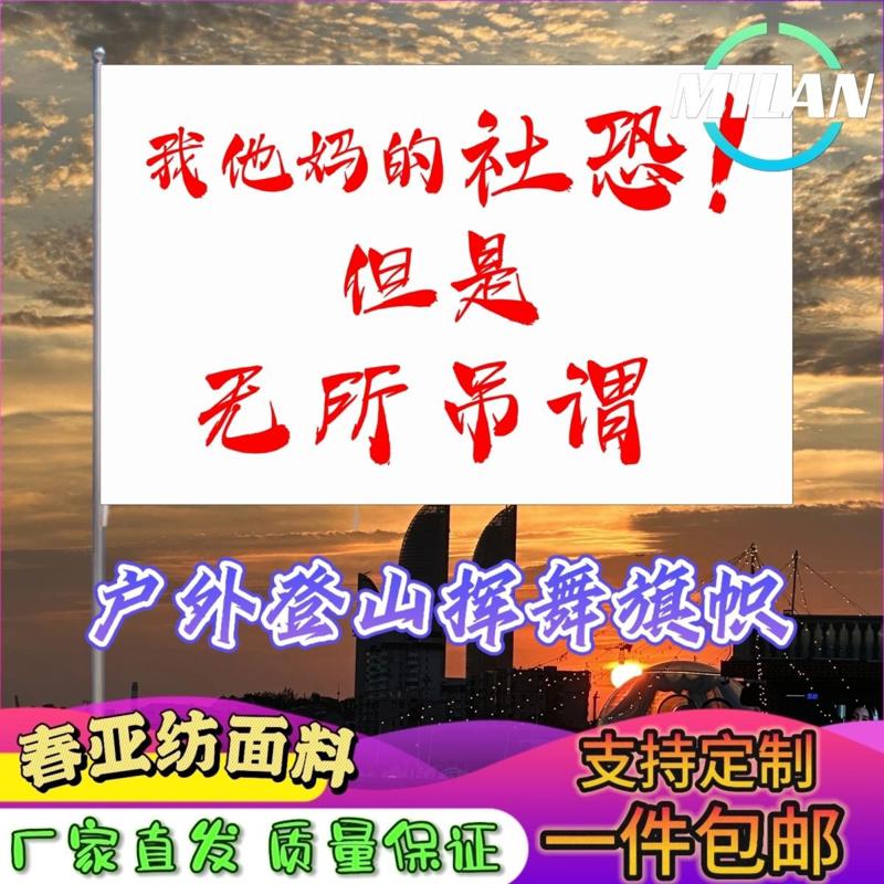 我他妈的社恐但是无所吊谓旗子定做登山大旗音乐节手摇旗定制文案