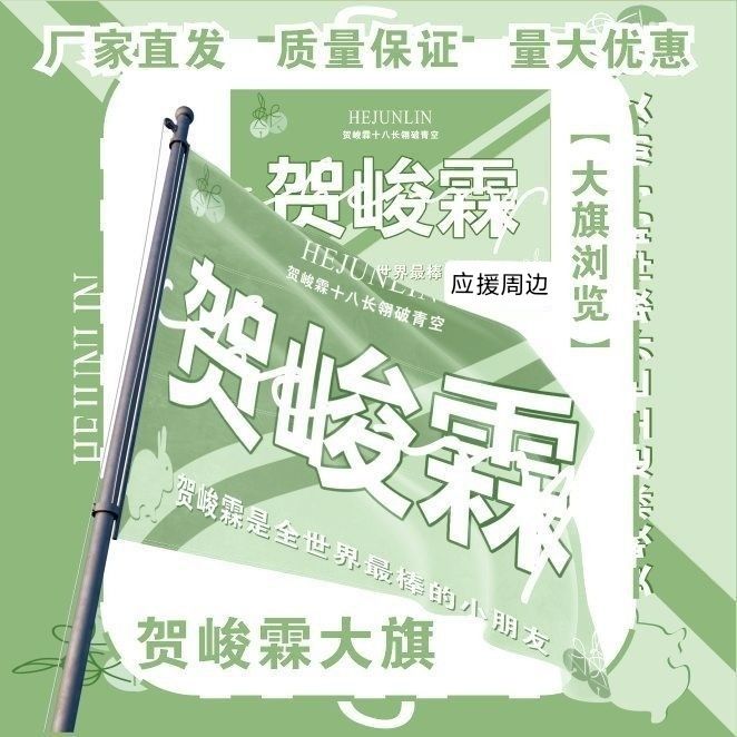 贺峻霖大旗明星TF家族贺峻霖应援旗户外音乐节应援旗定制