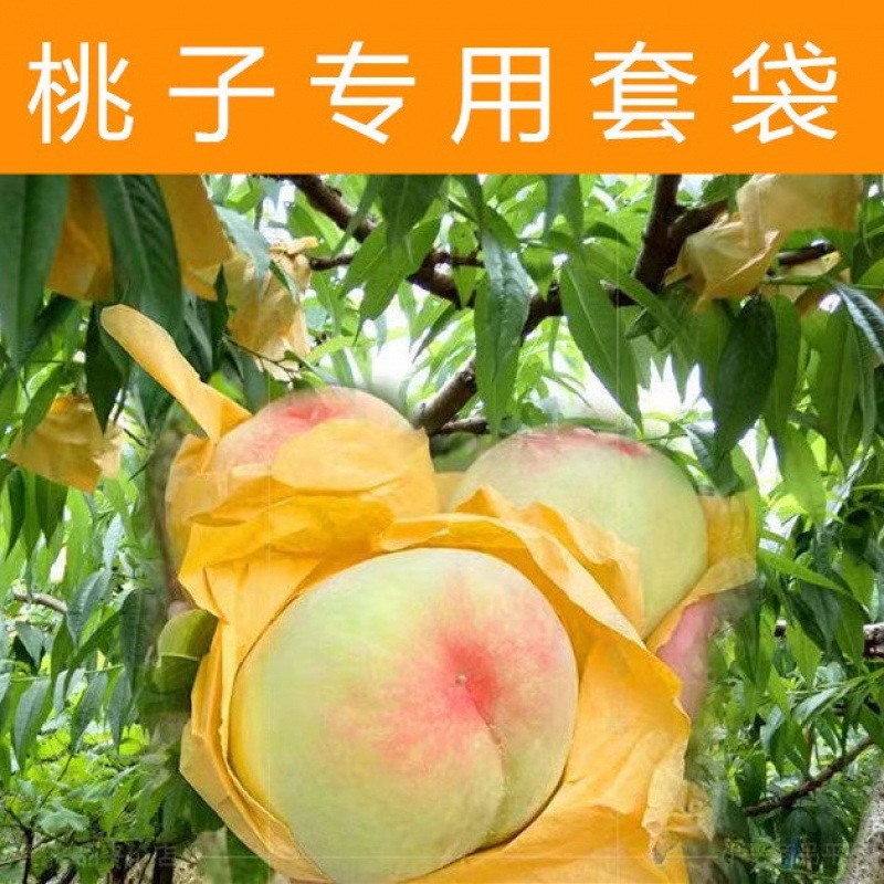 桃子专用套袋水蜜桃冬桃蟠桃黄桃专用纸袋防鸟虫水果专用果树套袋