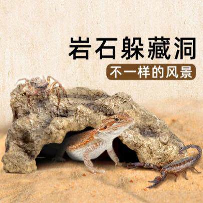岩石躲避洞爬宠钙沙爬沙鬃狮蜥蜴寄居蟹沙守宫沙漠鱼缸造景可