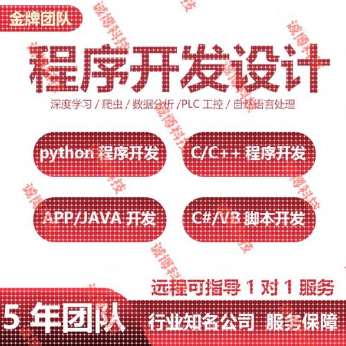 python深度学习代编程yolo机器视觉opencv模型训练Matlab程序代做
