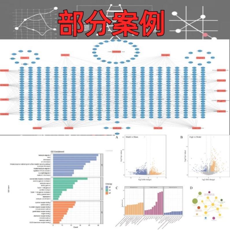 生信分析科研基因细胞蛋白代谢转录组宏基因全基因网药孟德尔MR