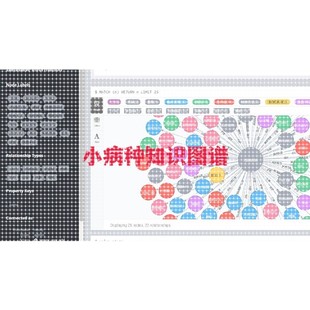 知识图谱构建neo4j可视化系统问答系统python环境配置运行出图