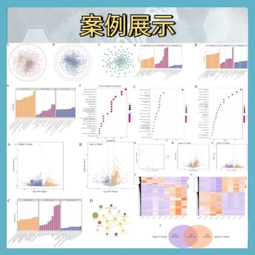 生信分析转录组学蛋白组学实验设计生信分析服务