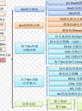 宏基因组数据组装物种注释kegg基因功能注释Binning分箱MAG进化树