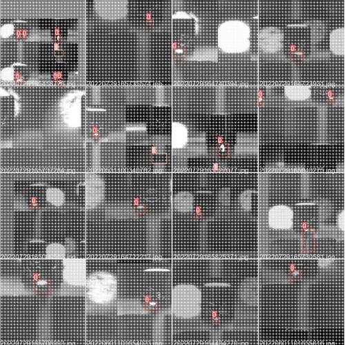 yolov5目标检测/图像分类/实例语义分割部署和源码Python/C++/C#