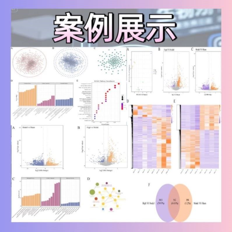 R语言生信分析 教程 指导 数据挖掘 可视化 一对一图片
