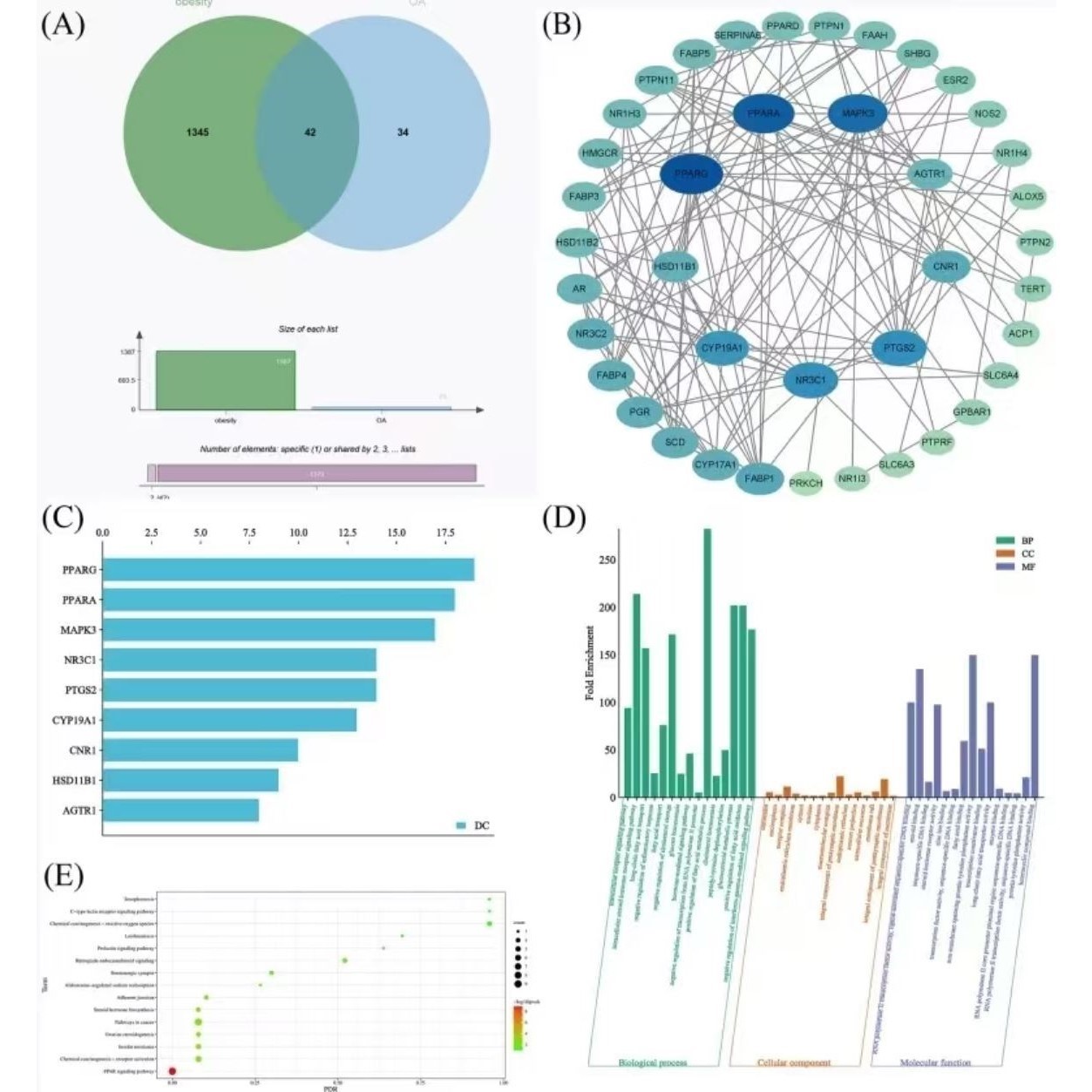 生信分析FAERS单细胞测序NHANES网路药理学毒理学细胞实验孟德尔
