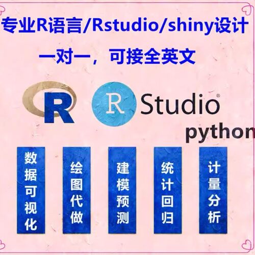 rstudio代做R语言辅导r写代码shiny可视化java深度python机器学习