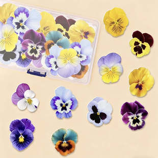 可食用糯米纸三色堇花朵威化纸生日蛋糕烘焙甜品diy冷盘装饰摆件