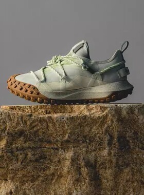 Nike Acg Mountain Fly Low Gtx SE 耐克机能防水运动鞋 DD2861